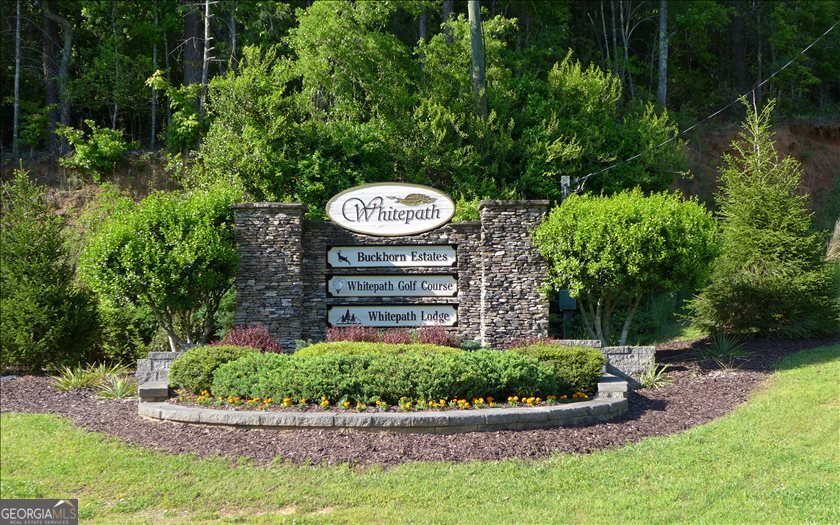 514 Shenendoa Drive Ellijay - Photo 16