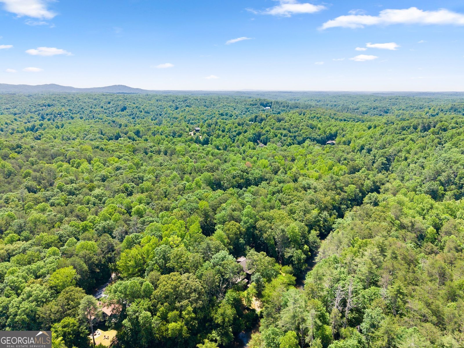 1088 Little Hawk Road Sautee Nacoochee - Photo 88