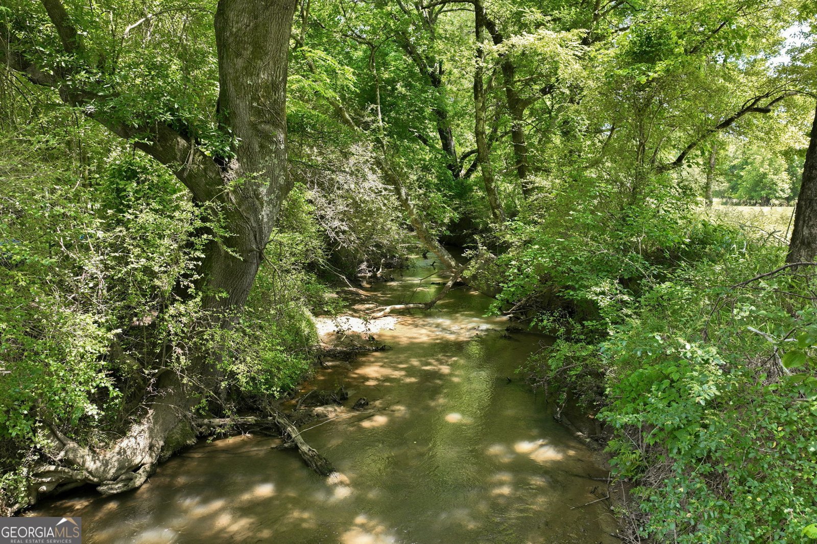 1270 Highway 53 Hoschton - Photo 35