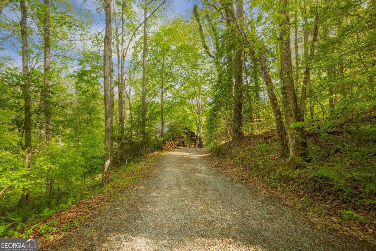 459 Mill Stone Mountain Lane Blue Ridge - Photo 21