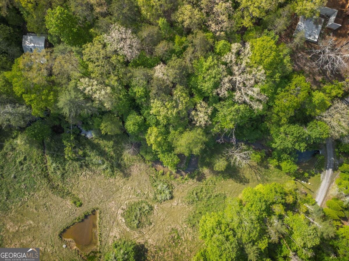 459 Mill Stone Mountain Lane Blue Ridge - Photo 22