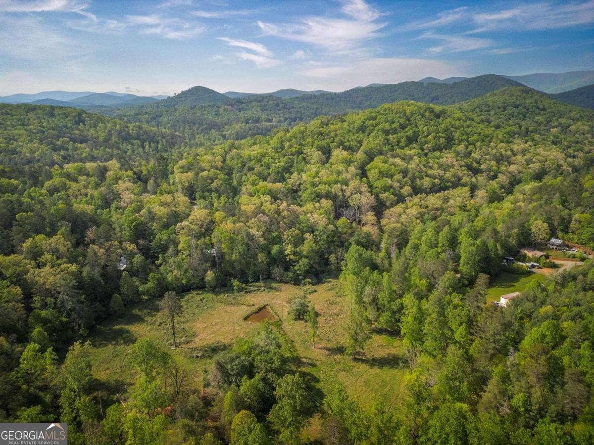 459 Mill Stone Mountain Lane Blue Ridge - Photo 23