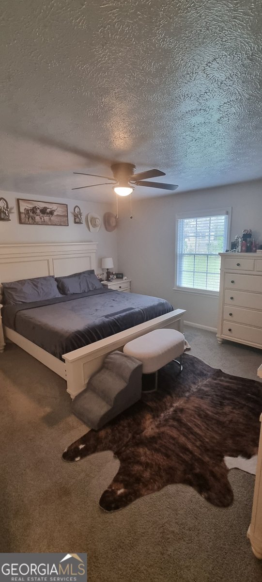 2487 Birdie Road Griffin - Photo 19
