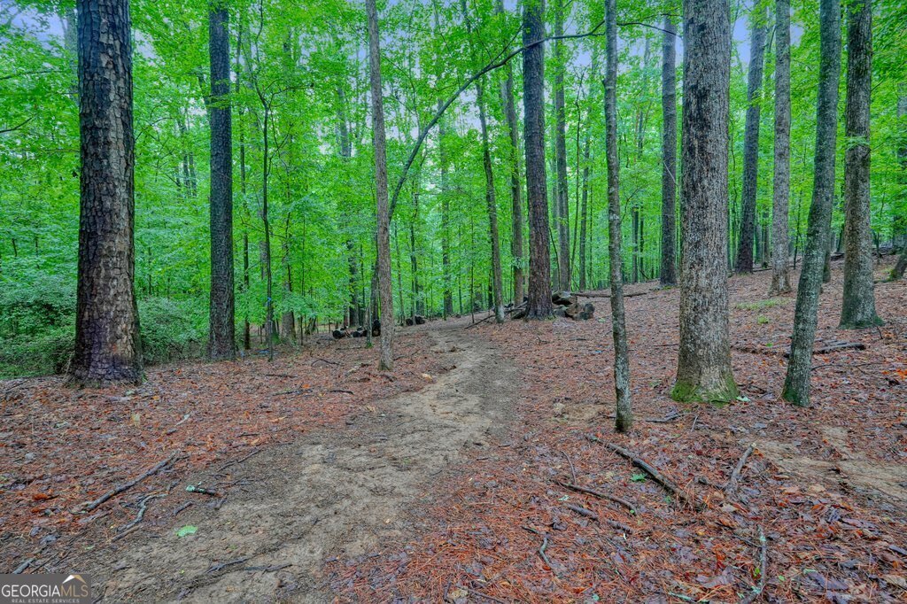 3650 Walden Cove Acworth - Photo 84
