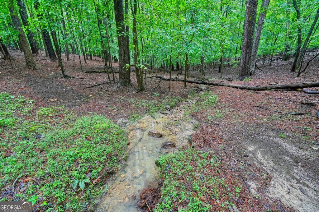 3650 Walden Cove Acworth - Photo 85