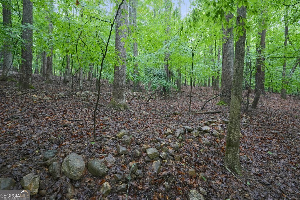 3650 Walden Cove Acworth - Photo 86