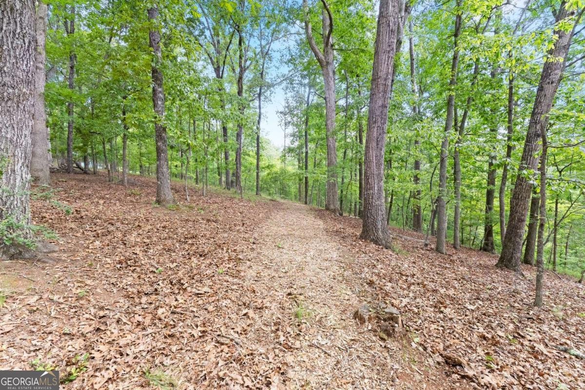 510 High Shoals Drive Dahlonega - Photo 23