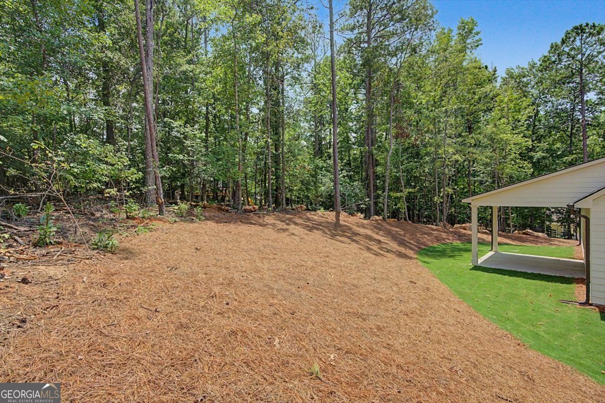 3312 Lakeview Parkway Villa Rica - Photo 42