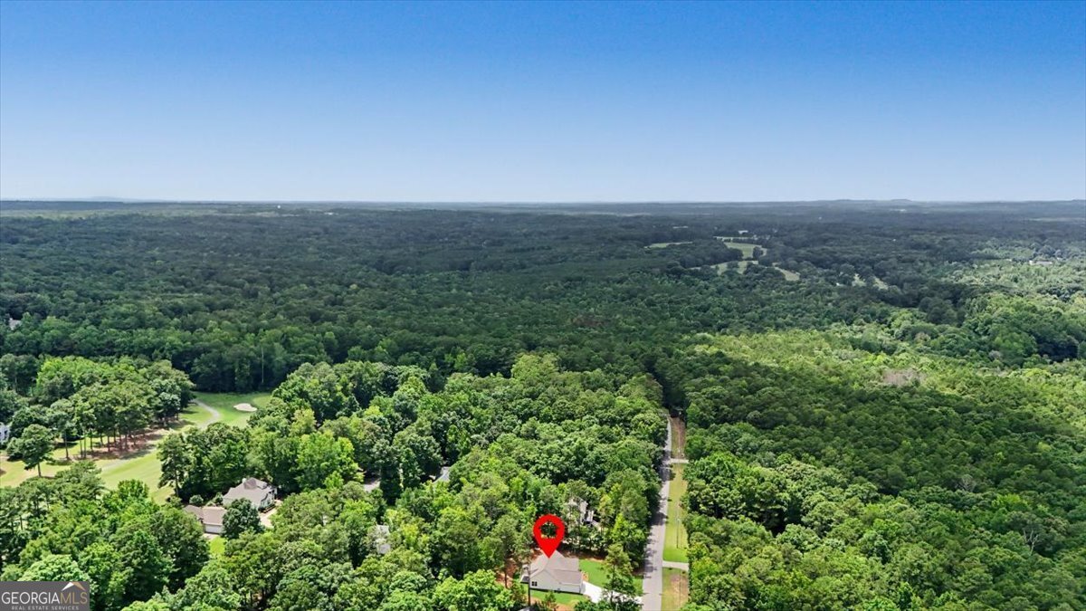 3312 Lakeview Parkway Villa Rica - Photo 49