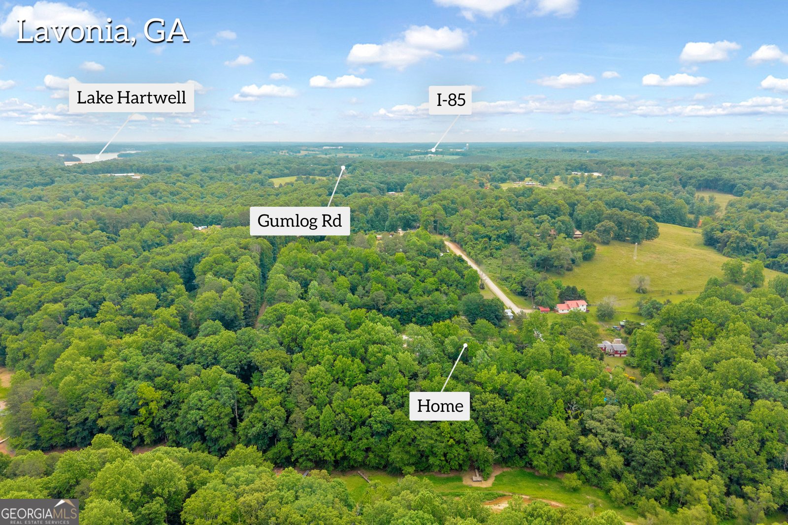 302 Gumlog Drive Lavonia - Photo 10