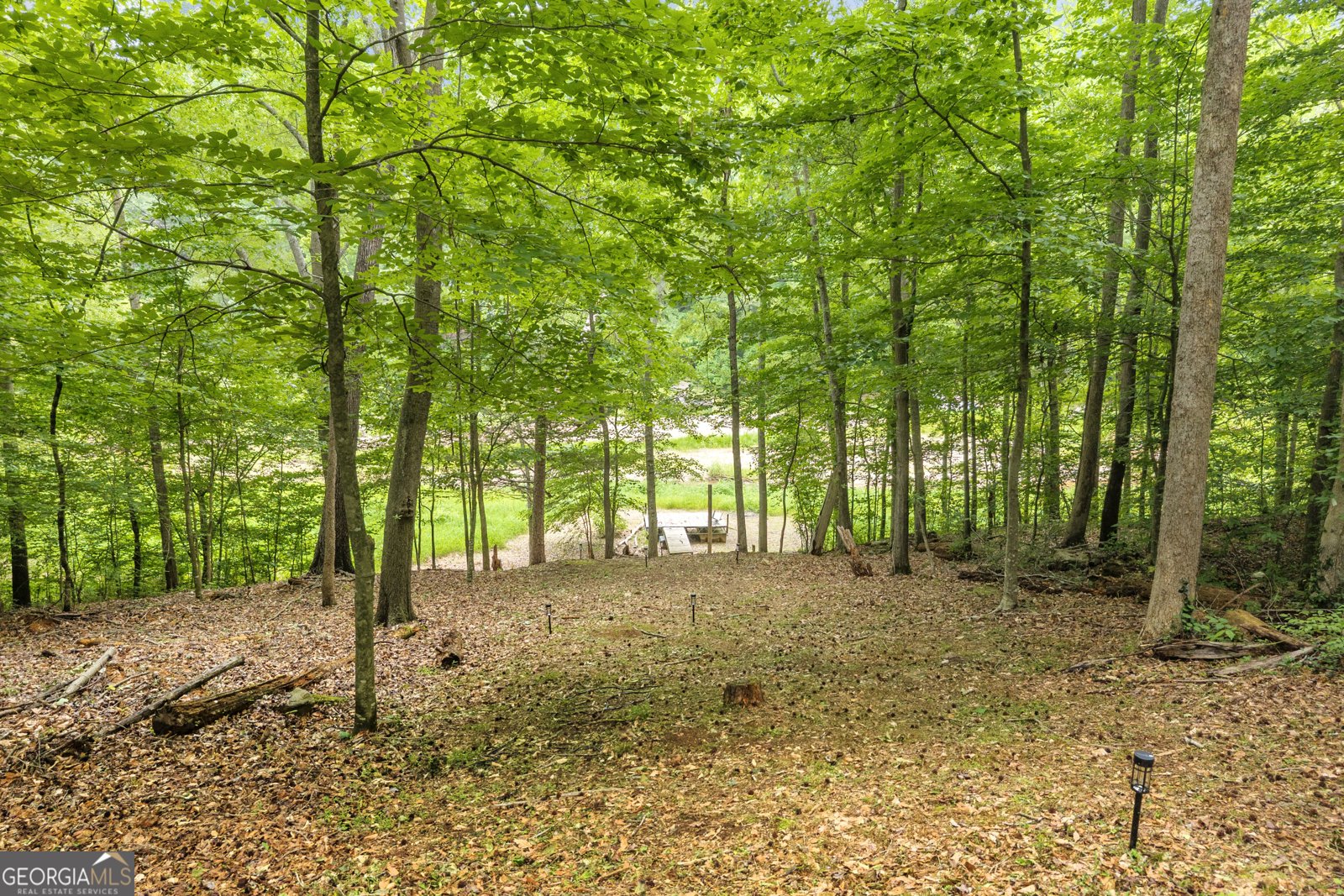 302 Gumlog Drive Lavonia - Photo 20