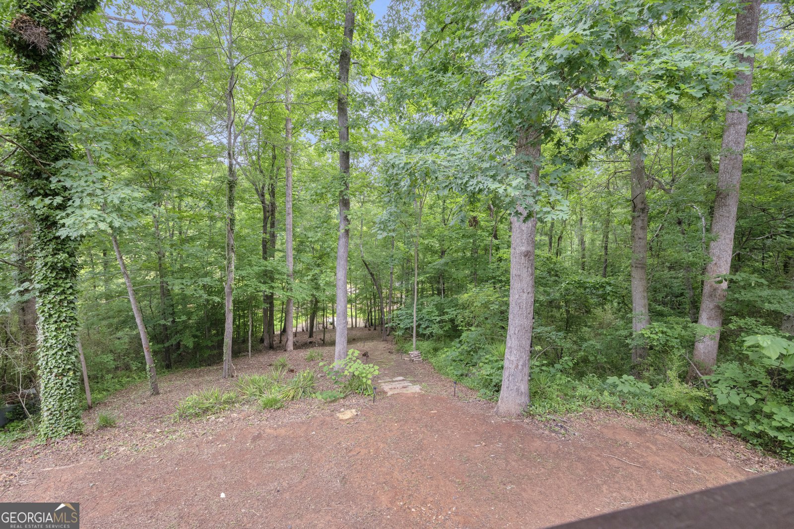 302 Gumlog Drive Lavonia - Photo 27
