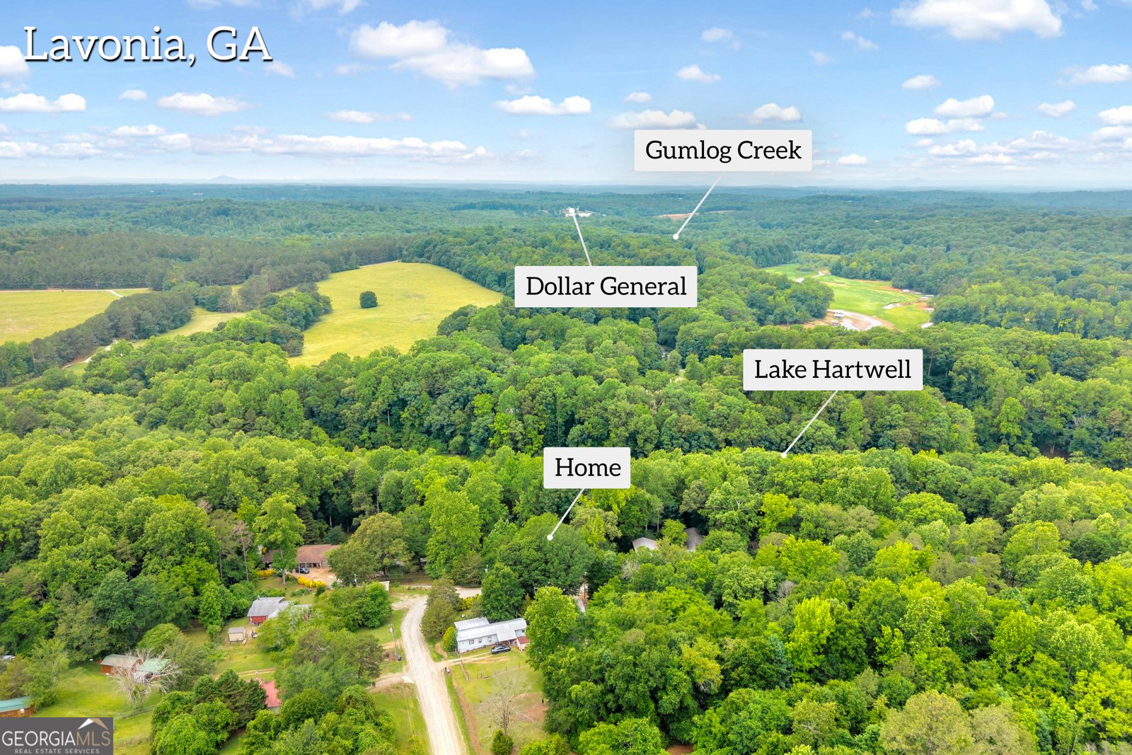 302 Gumlog Drive Lavonia - Photo 53