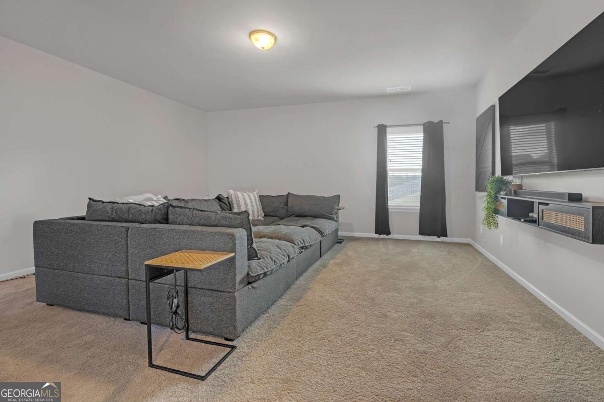 172 Expedition Drive Ellenwood - Photo 24