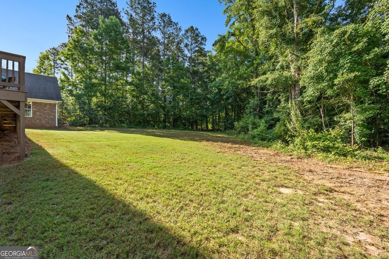 4107 Alayna Lee Circle McDonough - Photo 7