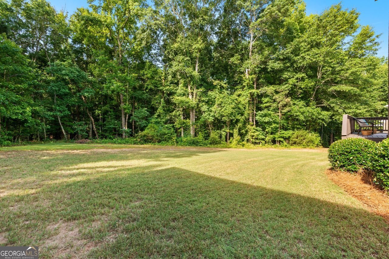 4107 Alayna Lee Circle McDonough - Photo 9