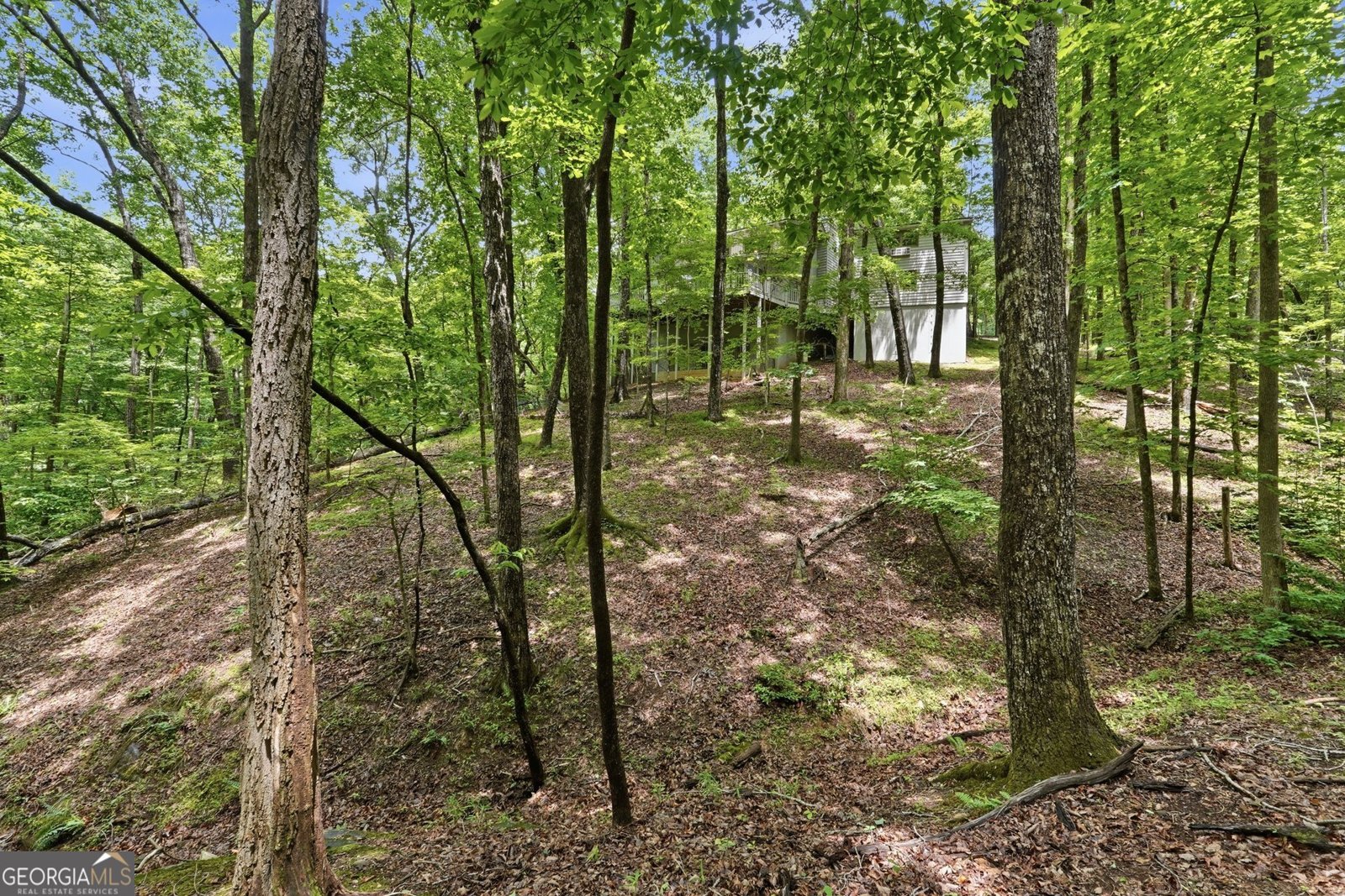 78 Ripple Creek Court Jasper - Photo 24