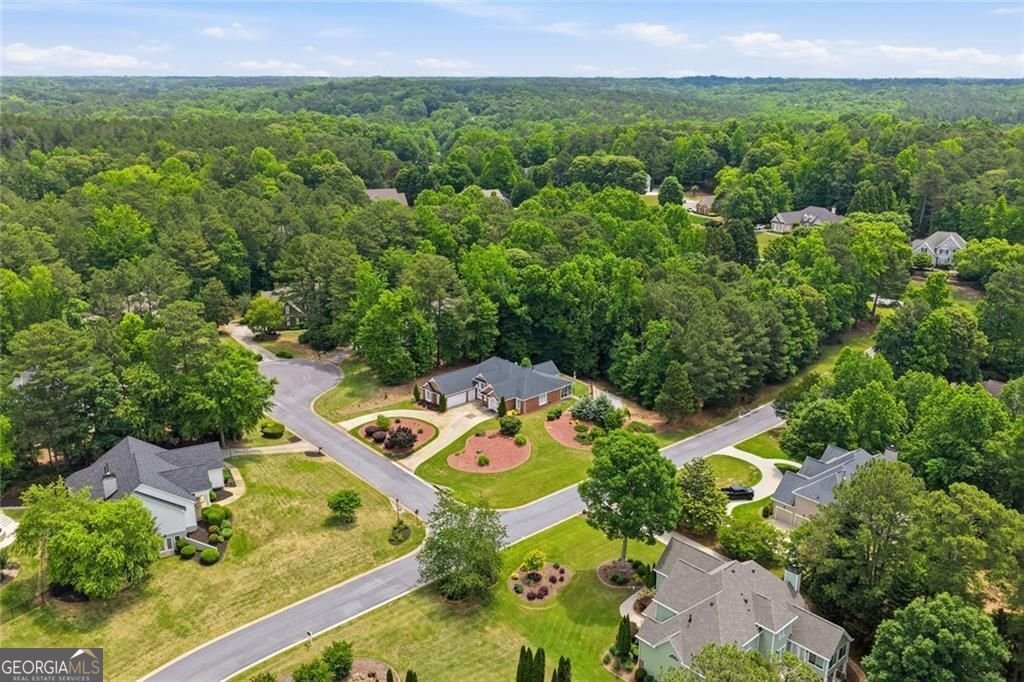 1000 Laddington Lane Peachtree City - Photo 50