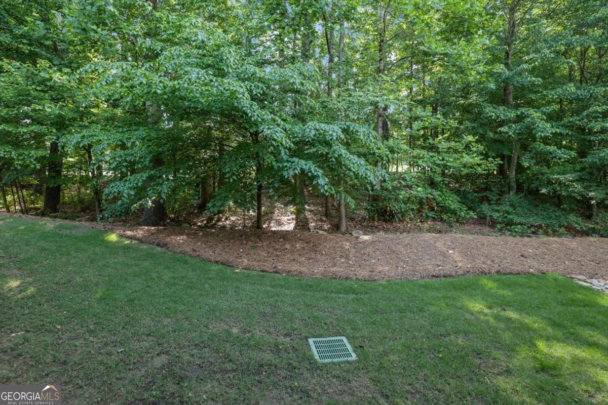 1505 Archstone Drive Cumming - Photo 35