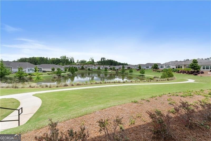 35 Pinewood Court Hiram - Photo 47