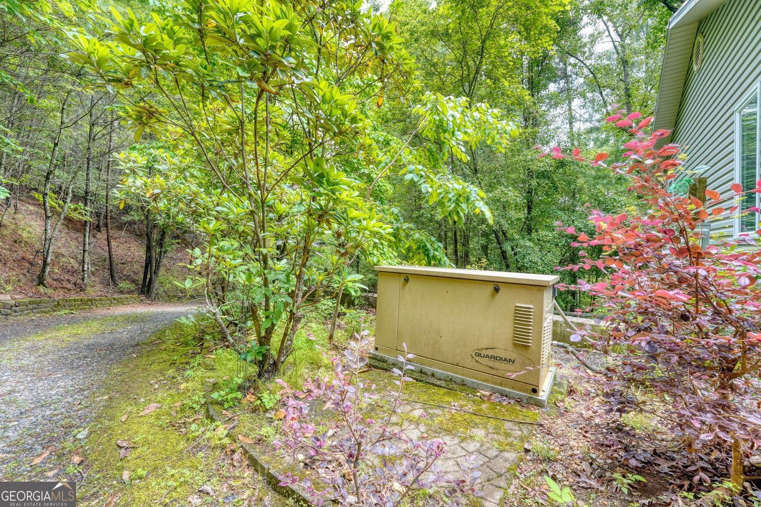 61 Amelia Lane Blue Ridge - Photo 47