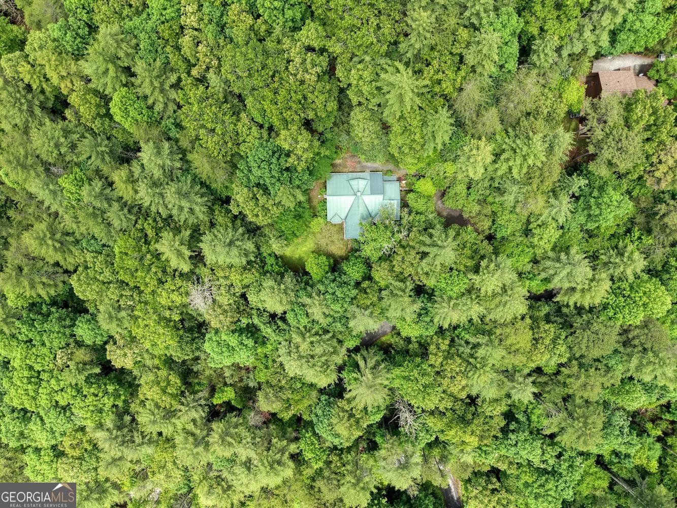 61 Amelia Lane Blue Ridge - Photo 52
