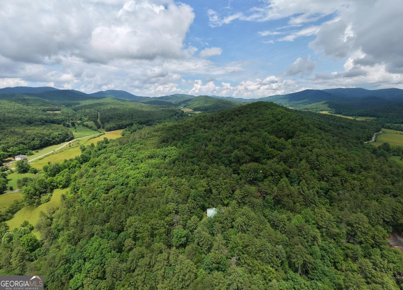 61 Amelia Lane Blue Ridge - Photo 53