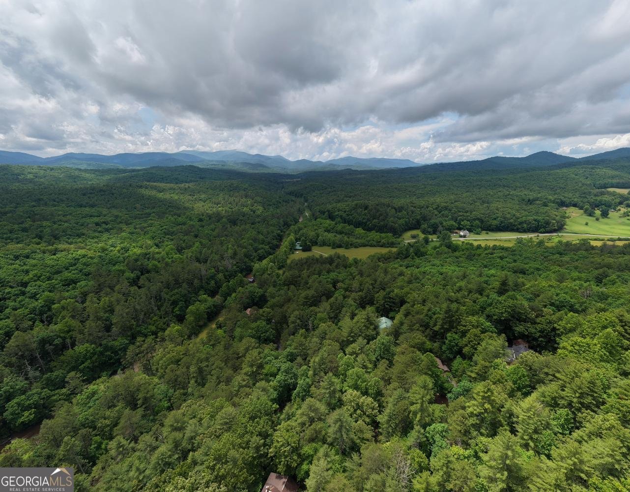 61 Amelia Lane Blue Ridge - Photo 55