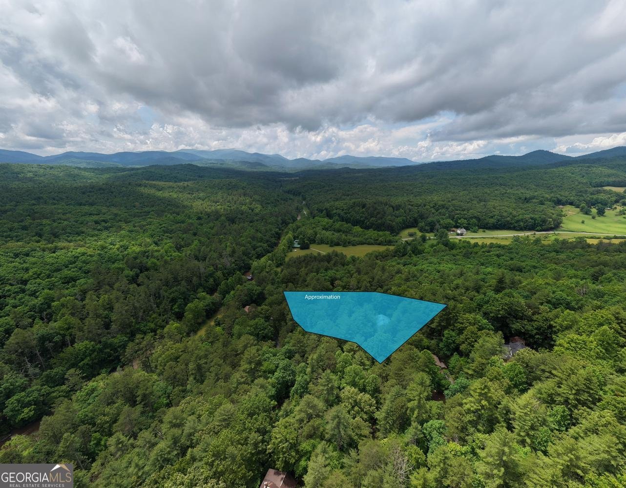 61 Amelia Lane Blue Ridge - Photo 56