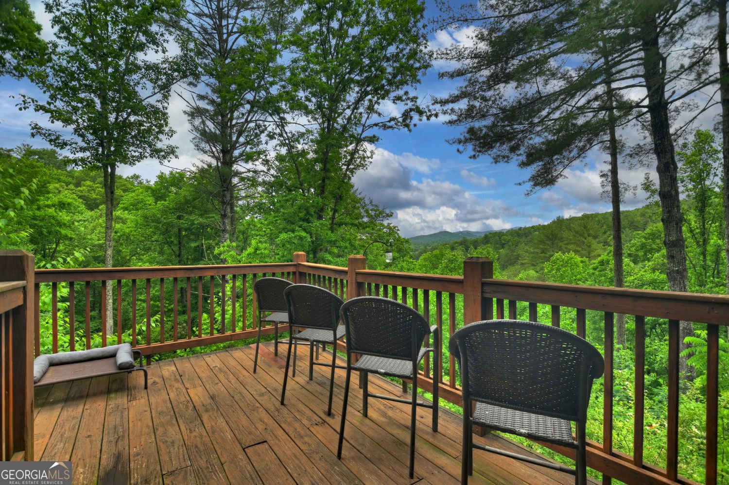 287 Rhonda Lane Mineral Bluff - Photo 47