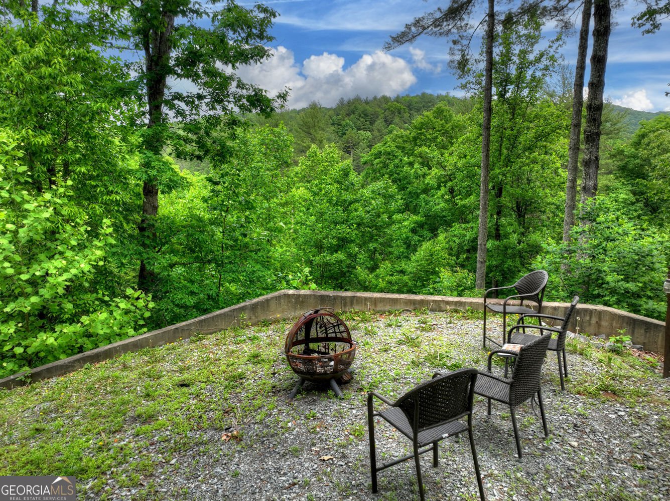 287 Rhonda Lane Mineral Bluff - Photo 67