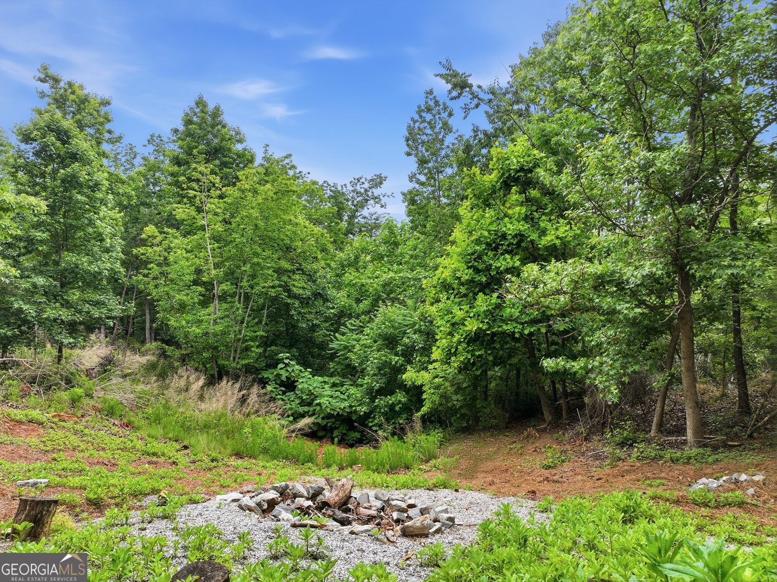 97 Eagle Ridge Trail Cleveland - Photo 10
