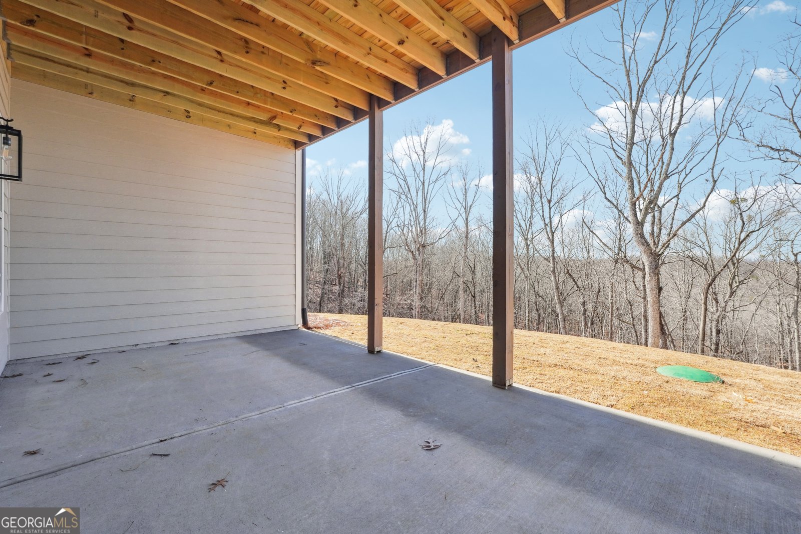 7375 Crestline Drive Dawsonville - Photo 55