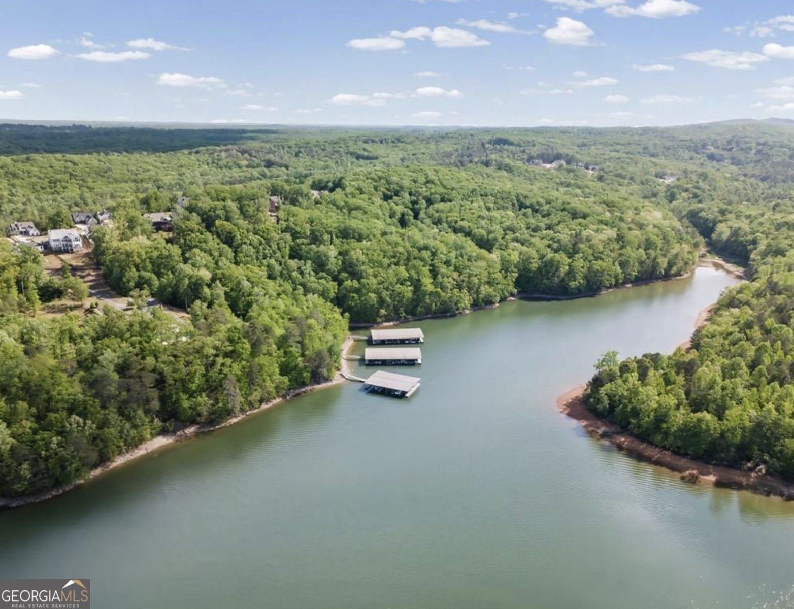 7375 Crestline Drive Dawsonville - Photo 56