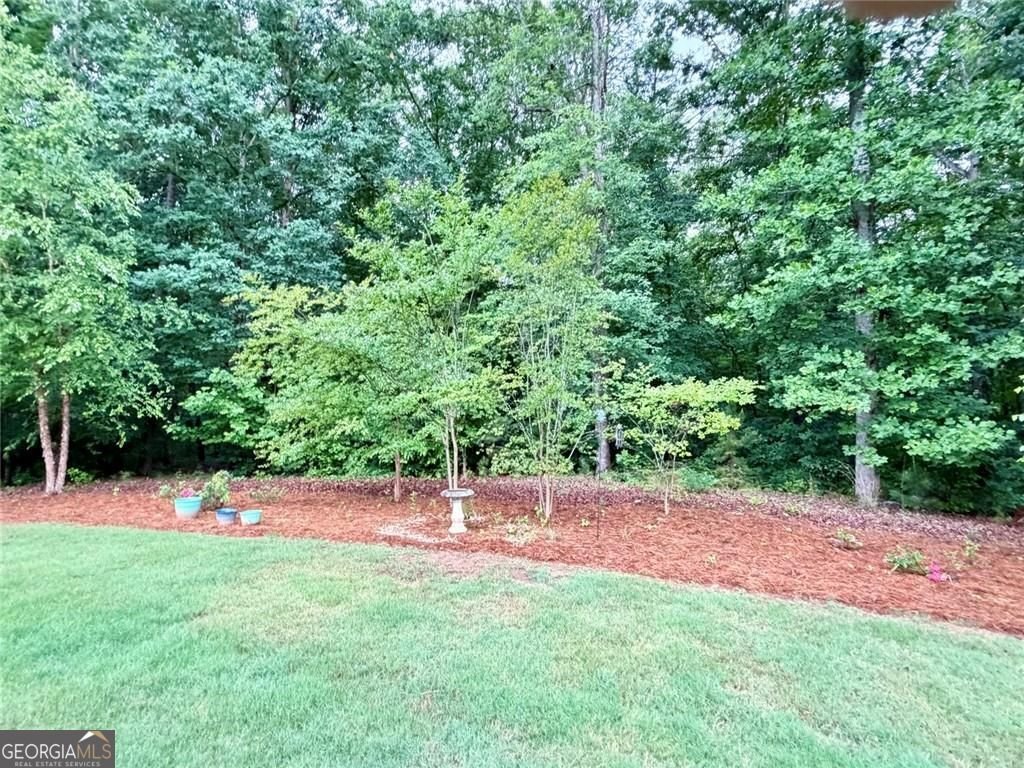 6169 Clear Brook Pass Douglasville - Photo 40
