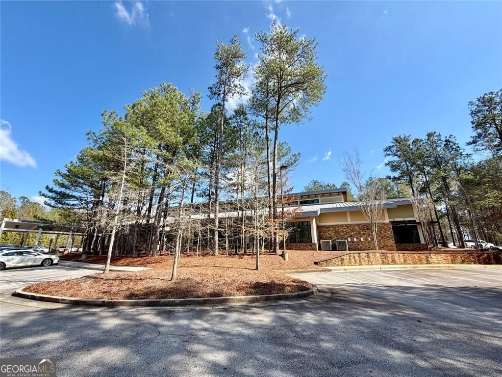 6169 Clear Brook Pass Douglasville - Photo 43
