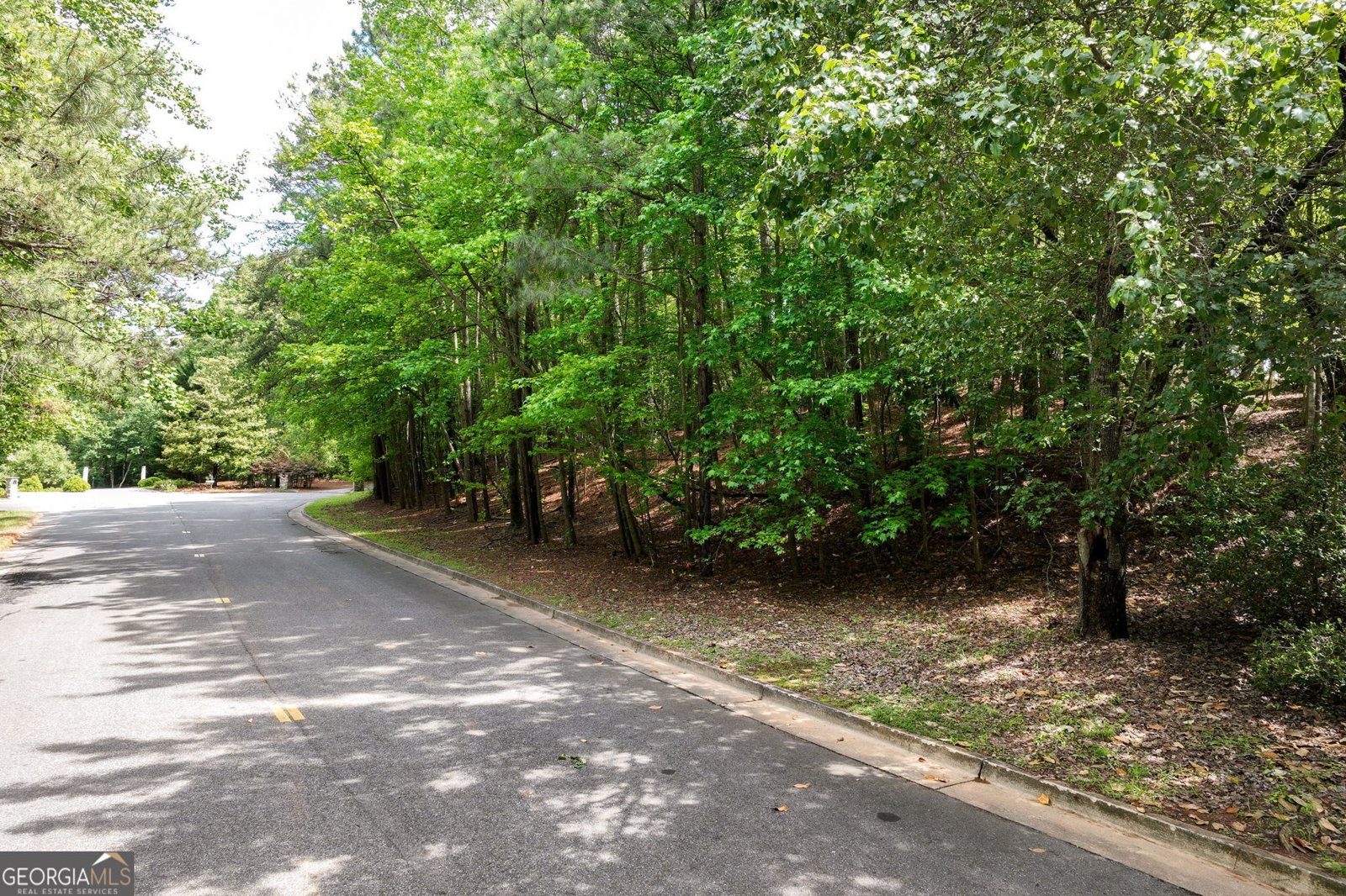 208A Lake Pointe Drive Gainesville - Photo 9