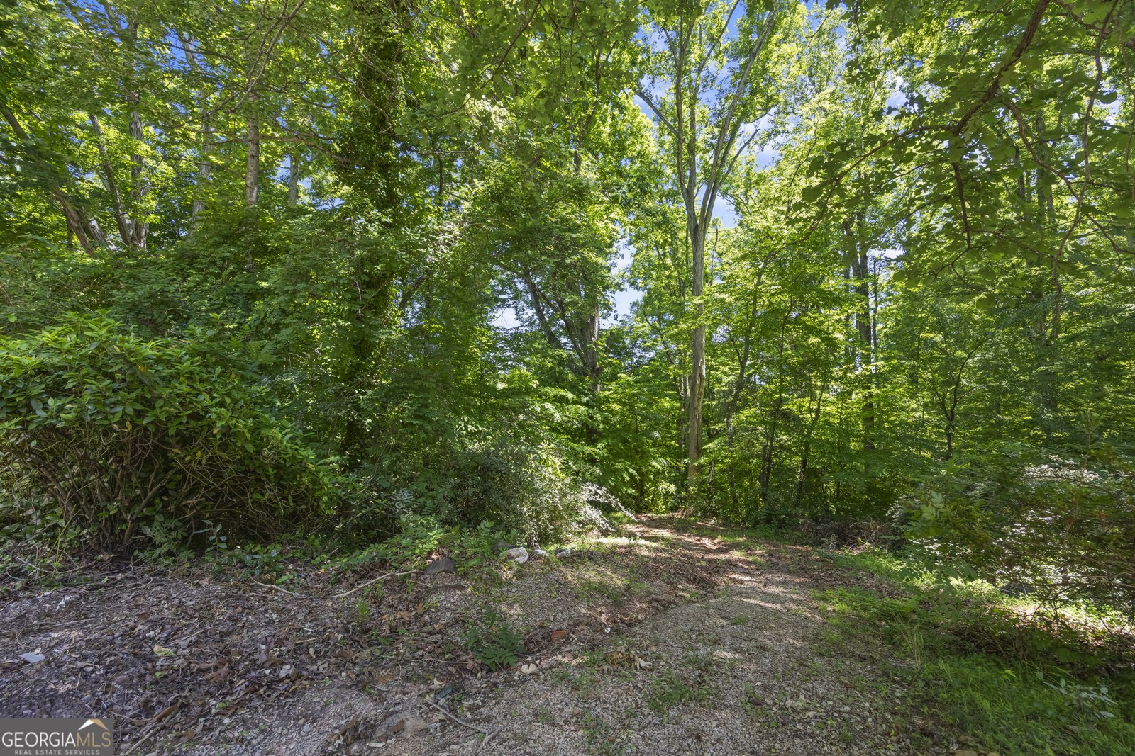 511 Rhodes Drive Elberton - Photo 77