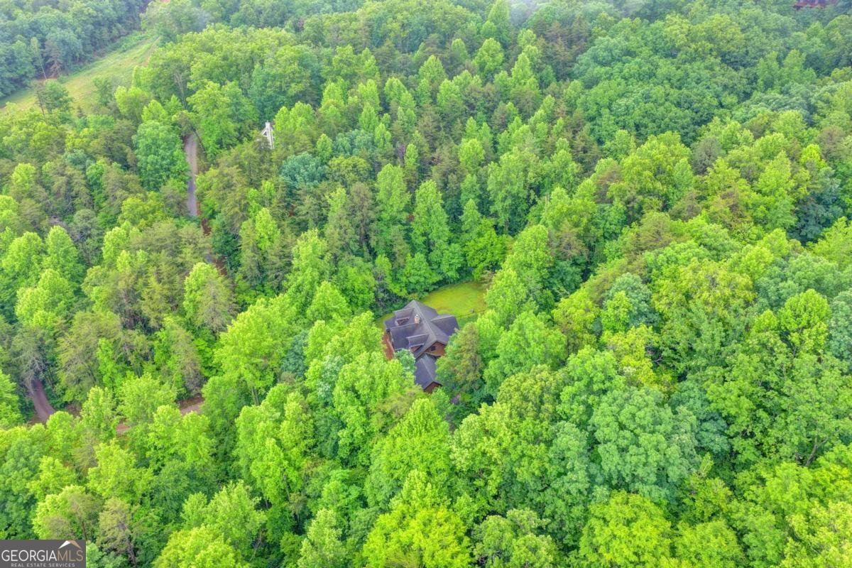 82 Walnut Grove Lane Tiger - Photo 88
