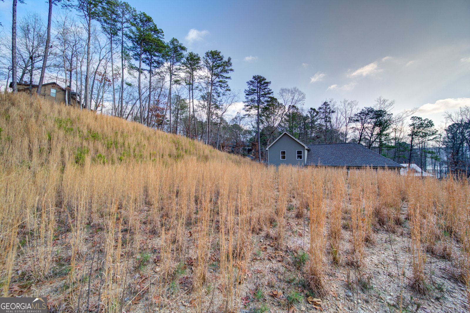 170 White Antelope Street Waleska - Photo 33