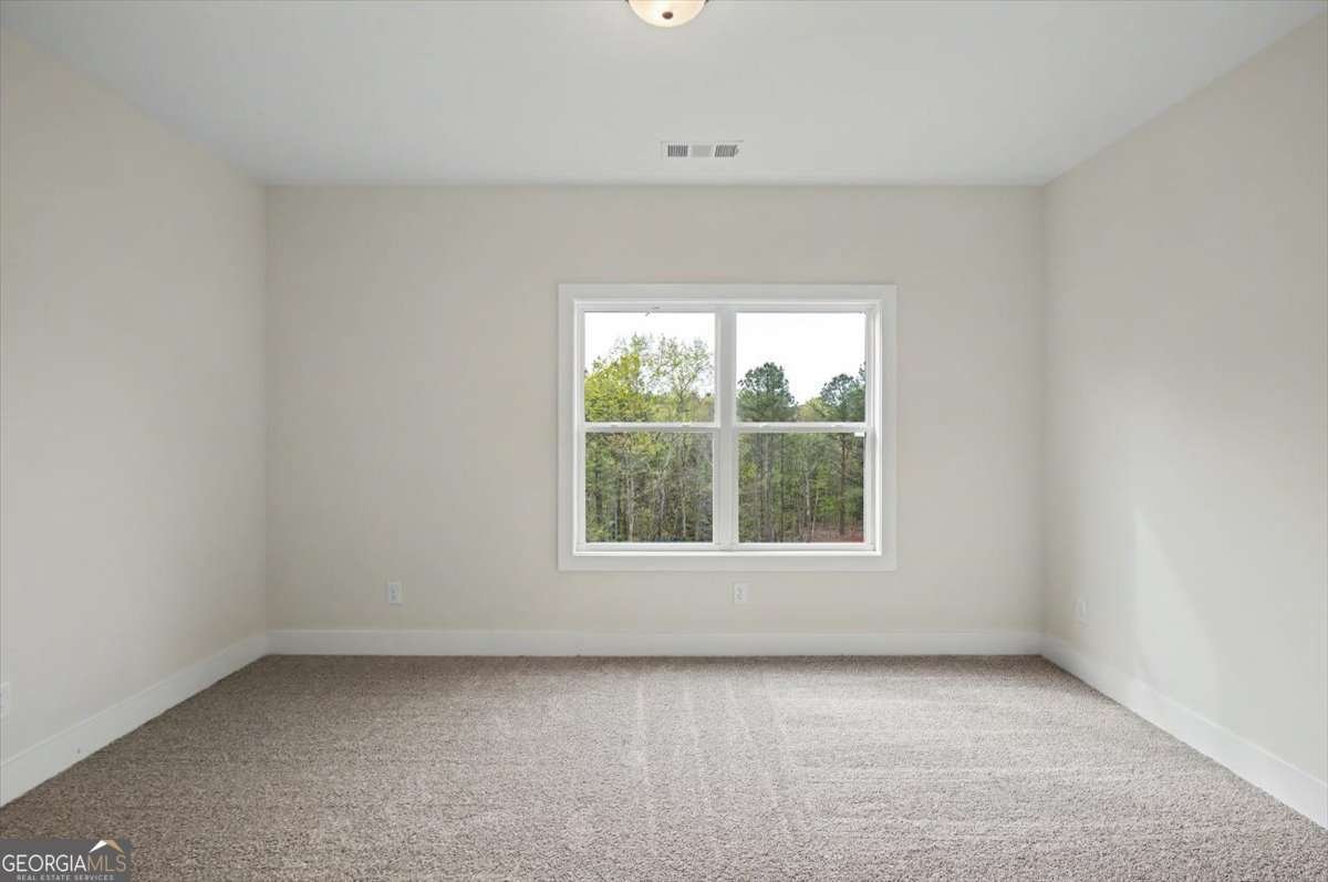 16 Altar Rock Court Cartersville - Photo 38