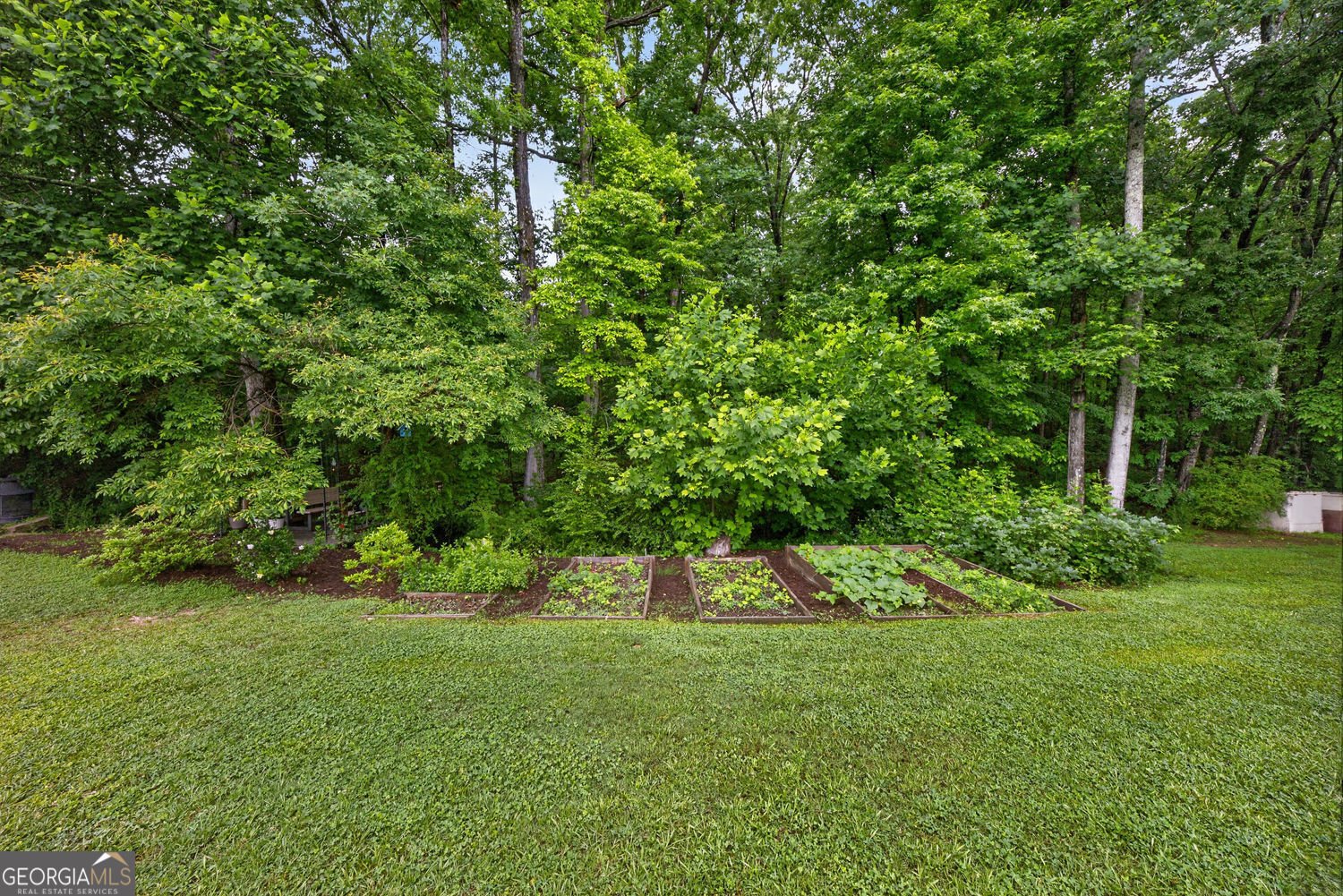 1260 Old Victron School Road Hoschton - Photo 47