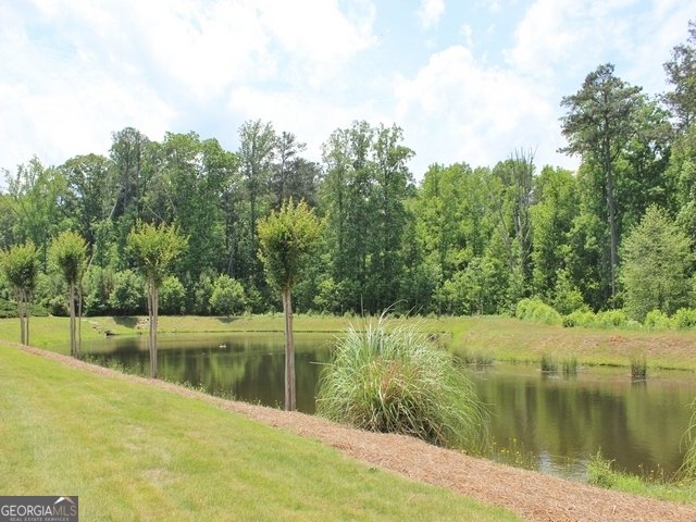 355 Grand Teton Circle Fayetteville - Photo 46