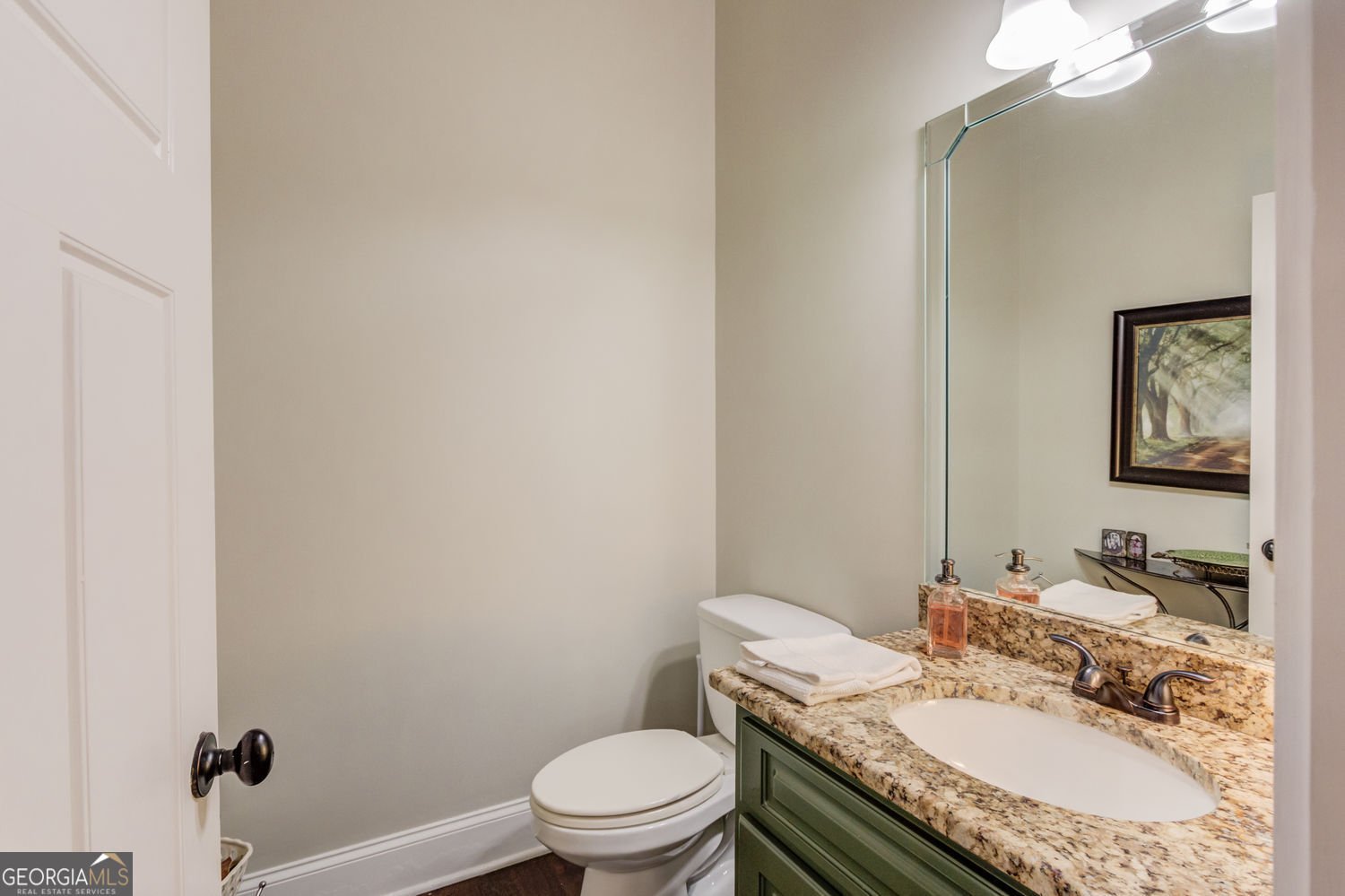 5741 Shadburn Ferry Road Buford - Photo 19