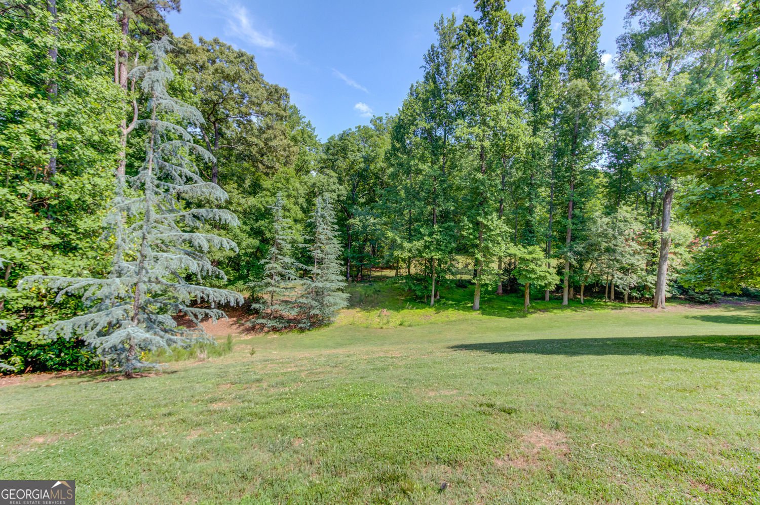 5741 Shadburn Ferry Road Buford - Photo 71