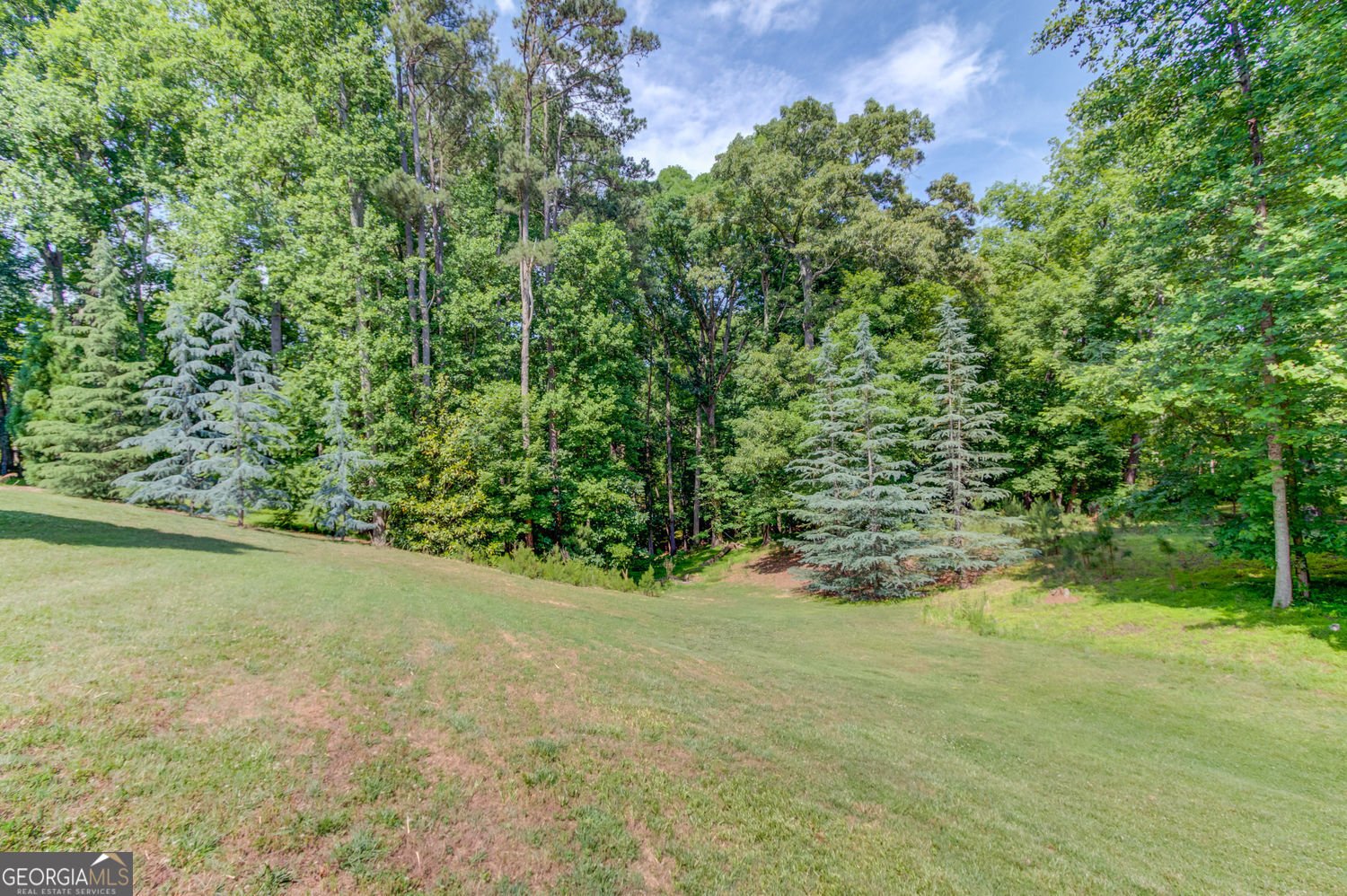 5741 Shadburn Ferry Road Buford - Photo 72