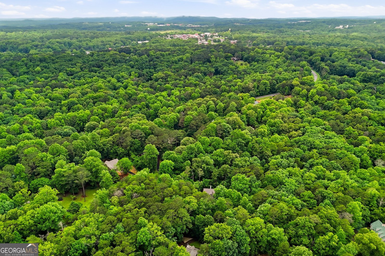 60 Twin Springs Lane Jasper - Photo 35
