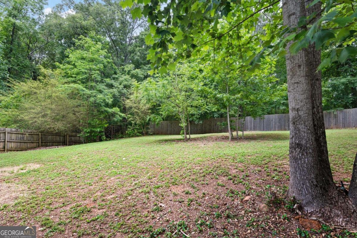 245 Cedars Glen Circle Villa Rica - Photo 23