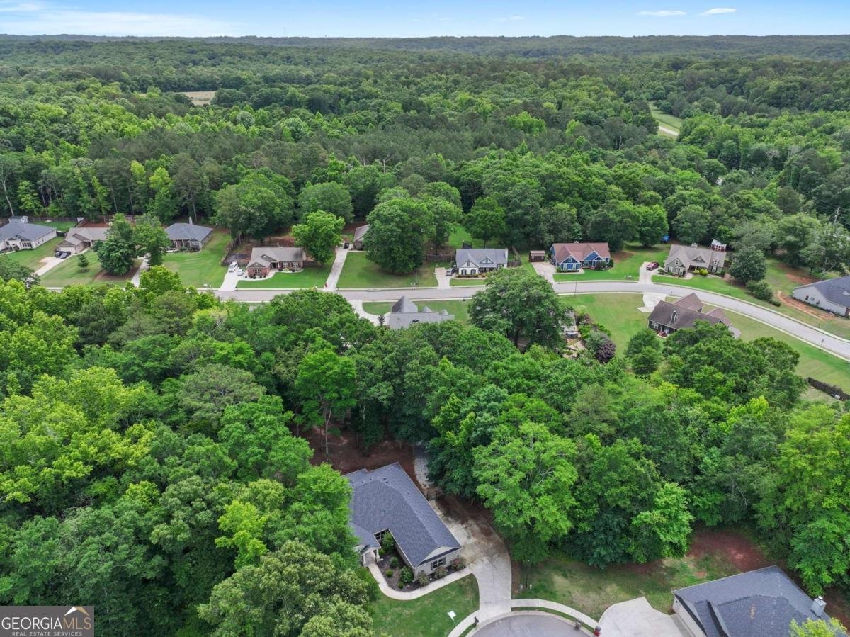 537 Forest Path Jefferson - Photo 48