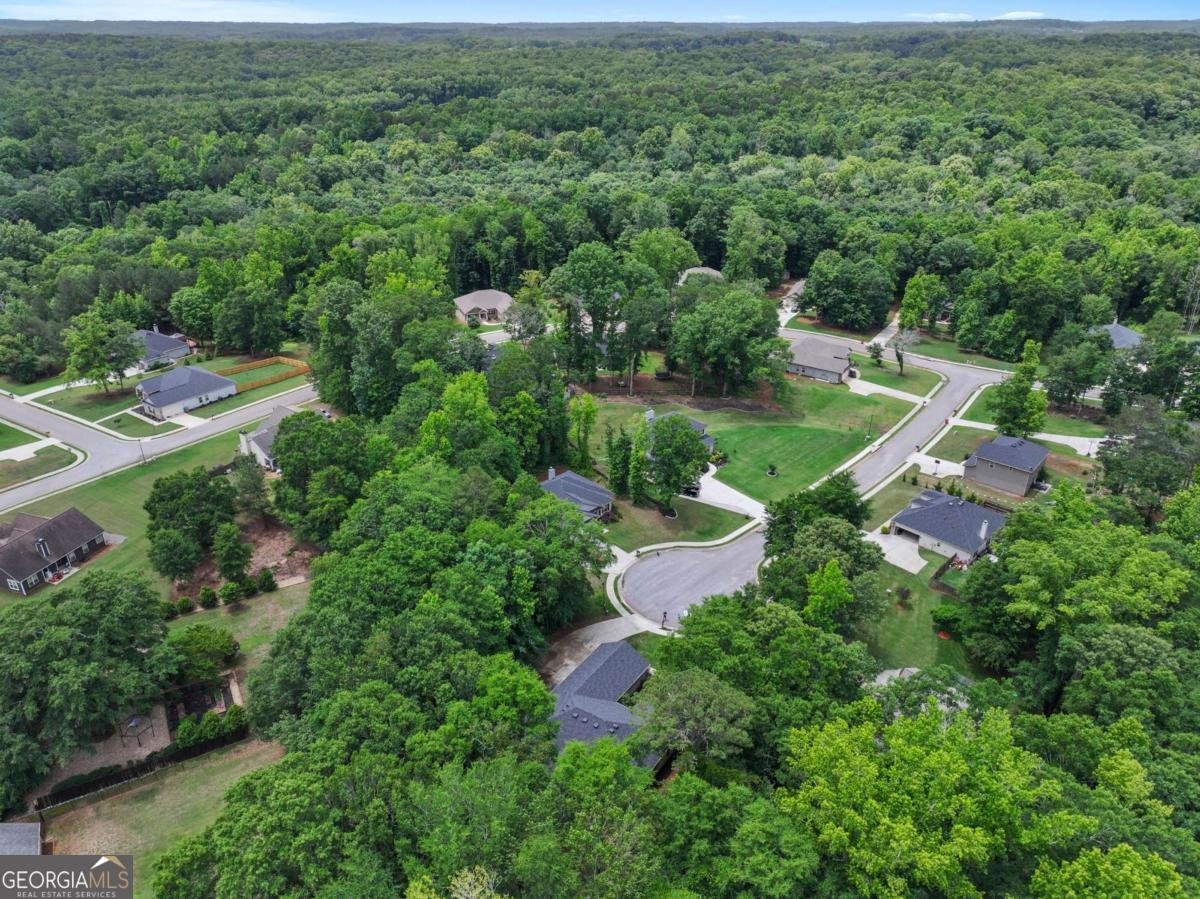 537 Forest Path Jefferson - Photo 50
